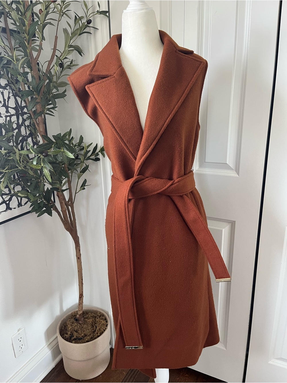 Sleeveless Belted Coat - Rust